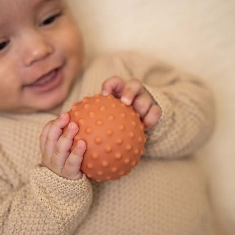 Set di palline sensoriali Piccola Fattoria